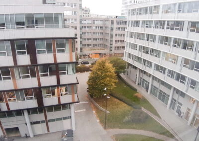 05 (3)
