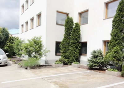 09 (1)